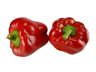 Rdeča paprika