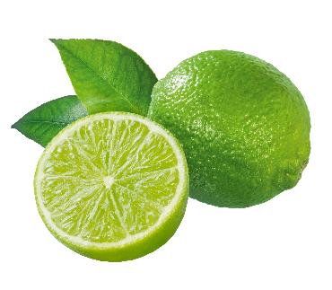 Limeta (kos)